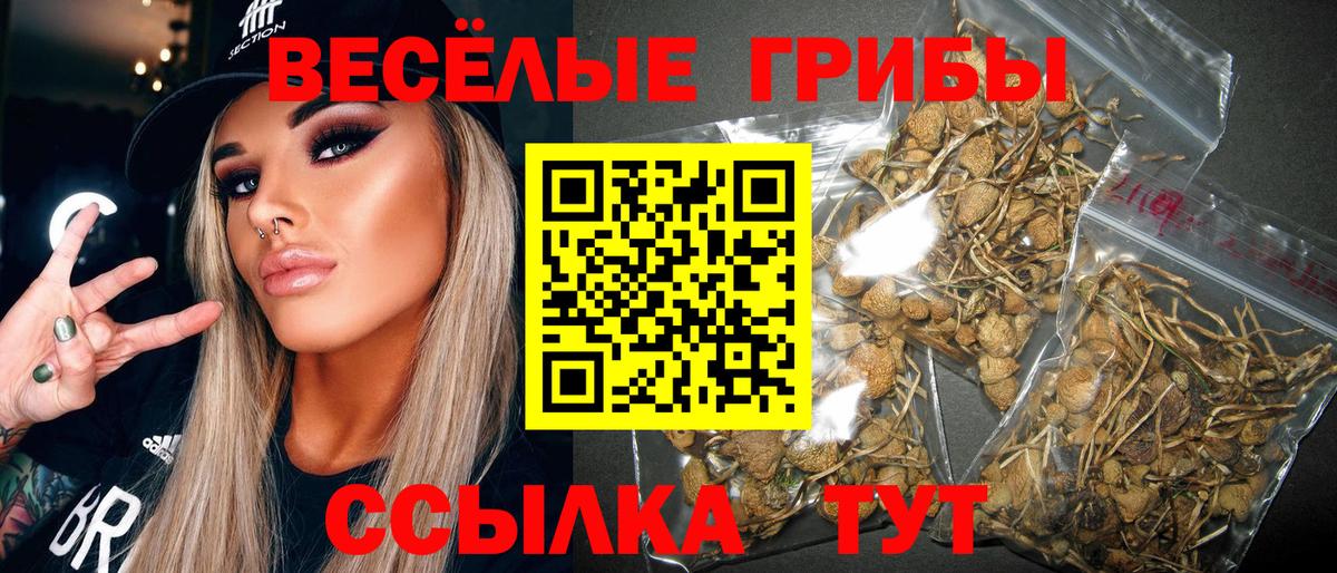 Псилоцибиновые грибы мицелий Баксан