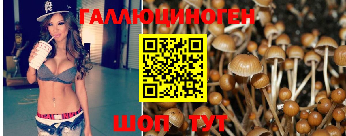 Баксан  Галлюциногенные грибы Magic Shrooms  купить   Вход с VPN  Галлюциногенные грибы прущие грибы 